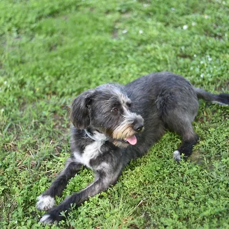 Capannone111 Отель типа 