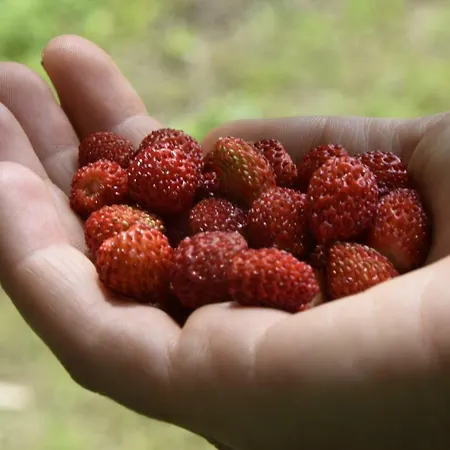 Capannone111 Отель типа 